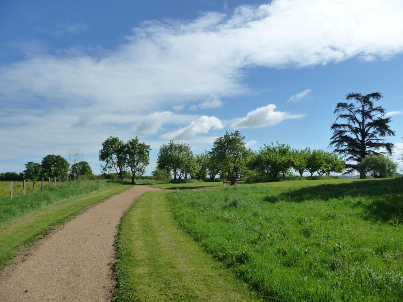 לינה וארוחת בוקר Saint-Saulge Domaine De Savigny מראה חיצוני תמונה